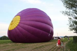 IMG 9689